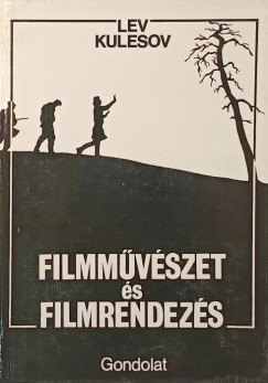 Filmmvszet s filmrendezs