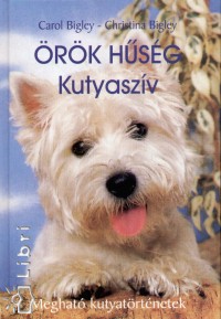 rk hsg - Kutyaszv