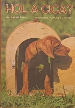 Hol a cica?