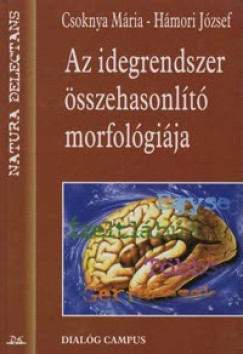 Csoknya Mária - Hámori József - Az idegrendszer összehasonlító morfológiája
