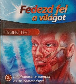 A kltakar, a csontok s az izomrendszer