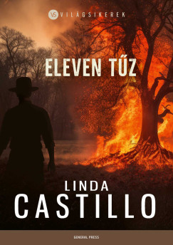 Eleven tz