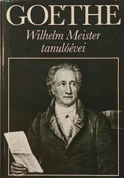 Wilhelm Meister tanulvei