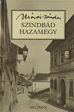 Szindbd hazamegy
