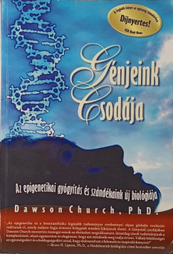 G�njeink csod�ja