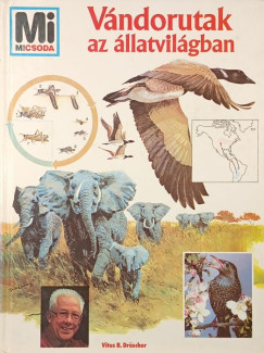 Vándorutak az állatvilágban