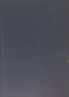 A honfoglal� magyarok