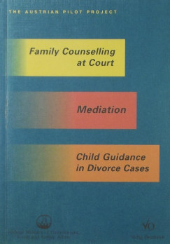 Family Counselling at Court