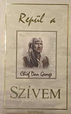Rep�l a sz�vem