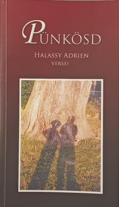 P�nk�sd (dedik�lt)