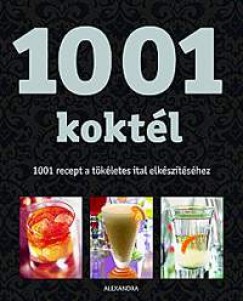 1001 koktl