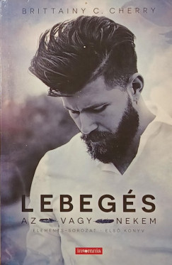 Lebegs