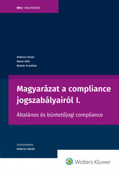 Dr. Ambrus Istvn - Magyarzat a compliance jogszablyairl I.