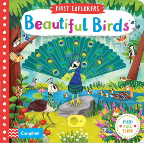 Beautiful Birds (First Explorers)