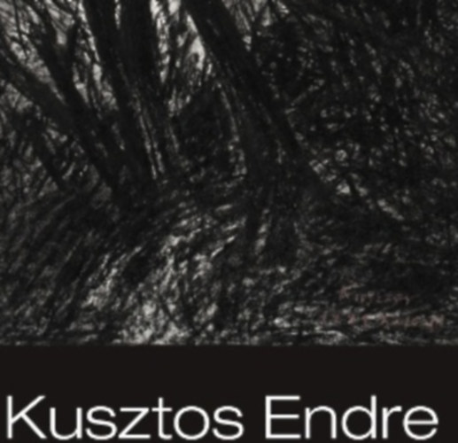 Kusztos Endre - Erdlyi Mvszet Kzpont Sepsiszentgyrgy 2014
