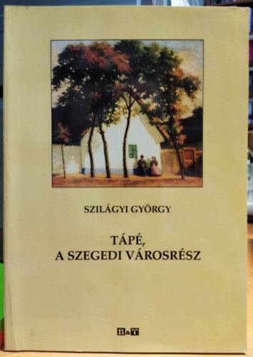 Szil�gyi Gy�rgy - T�p�, a szegedi v�rosr�sz