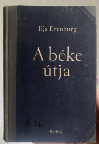 Ilja Erenburg - A bke tja