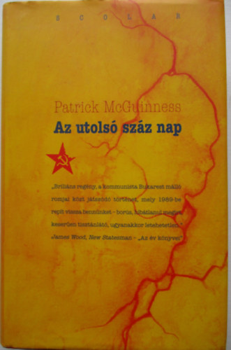 Patrick McGuinness - Az utols szz nap
