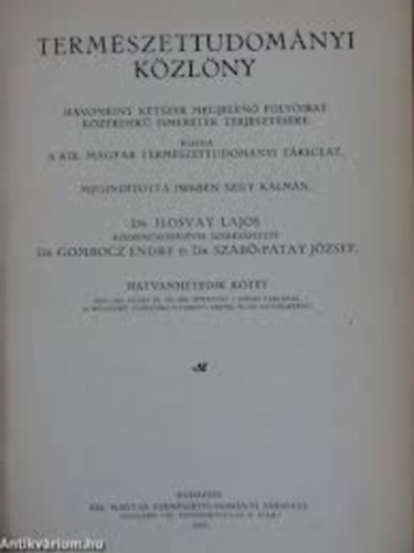 Ilosvay-Gombocz-Szab�-Patay - Term�szettudom�nyi k�zl�ny 1934