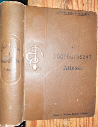 Dr. Schaeffer Oszkár - A gynaecologia alapvonalai atlaszszal - 1900
