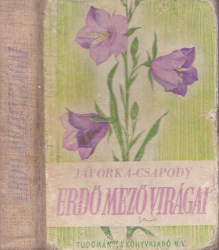 dr. J�vorka S�ndor-dr. Csapody Vera - Erd�-mez� vir�gai (A magyar fl�ra sz�nes kis atlasza)