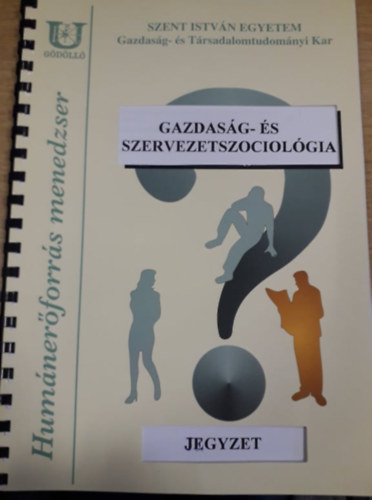 Madarsz Imre - Gazdasg- s szervezetszociolgia