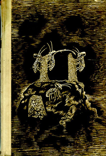 Eug�ne N. Marais - Die Seele der Weissen Ameise