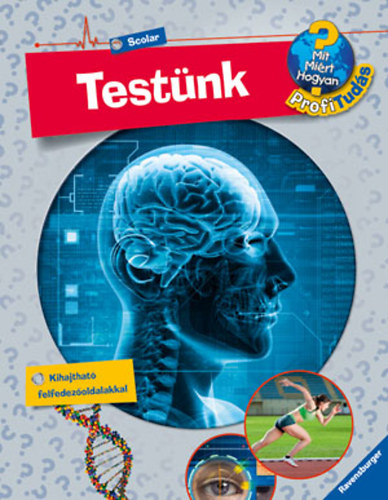 Andrea Schwendemann - Test�nk