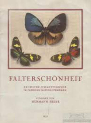 Hermann Hesse - Falterschnheit (pillangk)