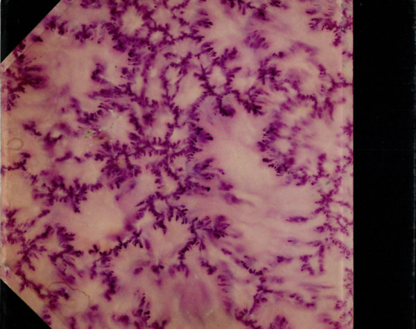 Weigl Ern� - Weigelsbergi Weigl Ern� Takar�kac�lok c. k�nyv�b�l - kihajthat�