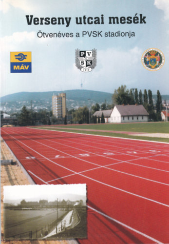 Verseny utcai mesk - tvenves a PVSK stadionja
