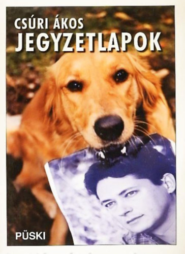 Cs�ri �kos - Jegyzetlapok