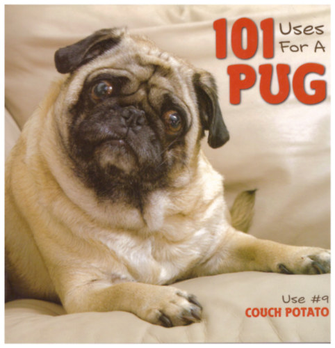 101 Uses for a Pug
