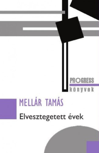 Mellár Tamás - Elvesztegetett évek