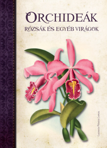Lucrecia Prsico Lamas - Orchidek, Rzsk s egyb virgok