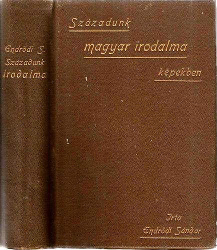 Endrdi Sndor - Szzadunk magyar irodalma kpekben