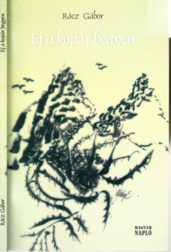 Rácz Gábor - Éj a kopár hegyen