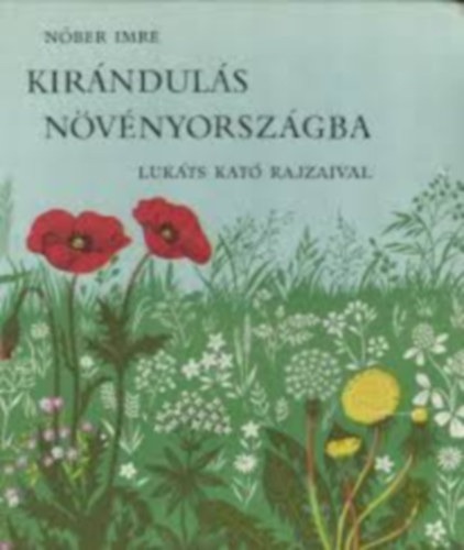 Nber Imre - Kirnduls nvnyorszgba