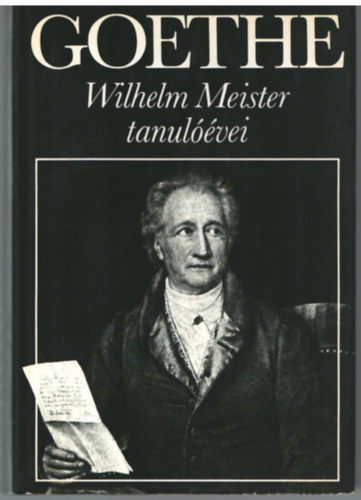 Johann Wolfgang von Goethe - Wilhelm Meister tanulvei