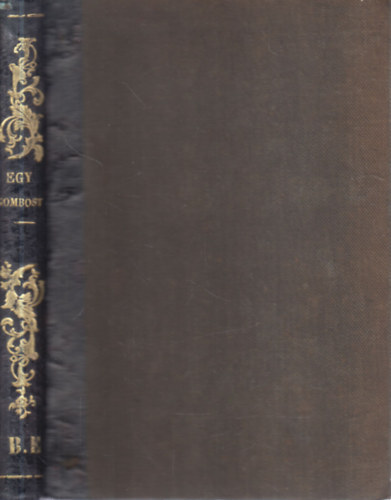 Rózsaági Antal Saint Germain (ford.) - Egy gombostű