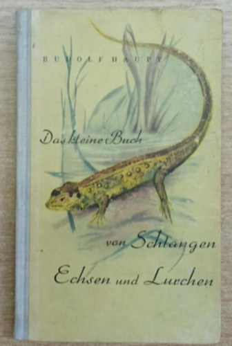 Rudolf Haupt - Das keline Buch von Schlangen, Eshsen und Lurchen