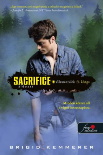 Brigid Kemmerer - Sacrifice - Áldozat - Elementálok 5.