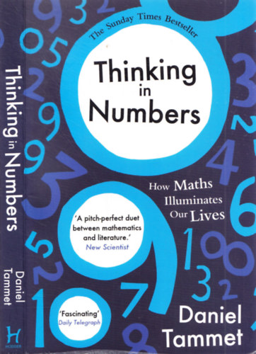 Daniel Tammet - Thinking in Numbers -How Maths Illuminates Our Lives