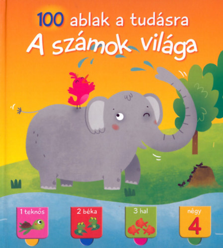 A sz�mok vil�ga -100 ablak a tud�sra