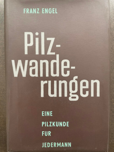 Franz Engel - Pilzwanderungen