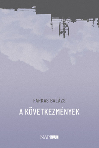 Farkas Balázs - A következmények