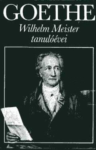 Johann Wolfgang von Goethe - Wilhelm Meister tanulvei