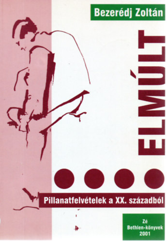 Bezerédj Zoltán - Elmúlt-Pillanatfelvételek a XX. századból