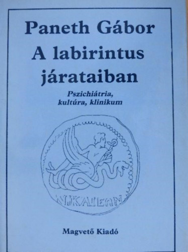 Szerz Paneth Gbor Szerkeszt Zsmboki Mria - A labirintus jrataiban  -  Pszichitria, kultra, klinikum - Szerkeszt: Zsmboki Mria