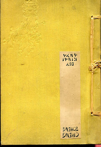 Cheng Tseng - Egy kínai anya